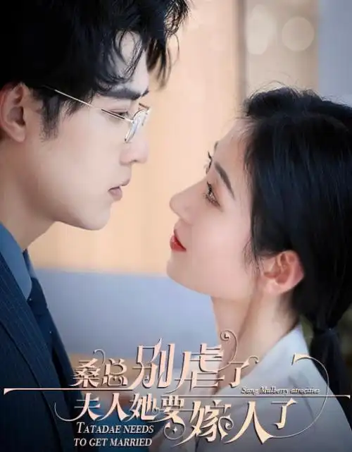 长夜灯下 热播电视剧全集在线观看